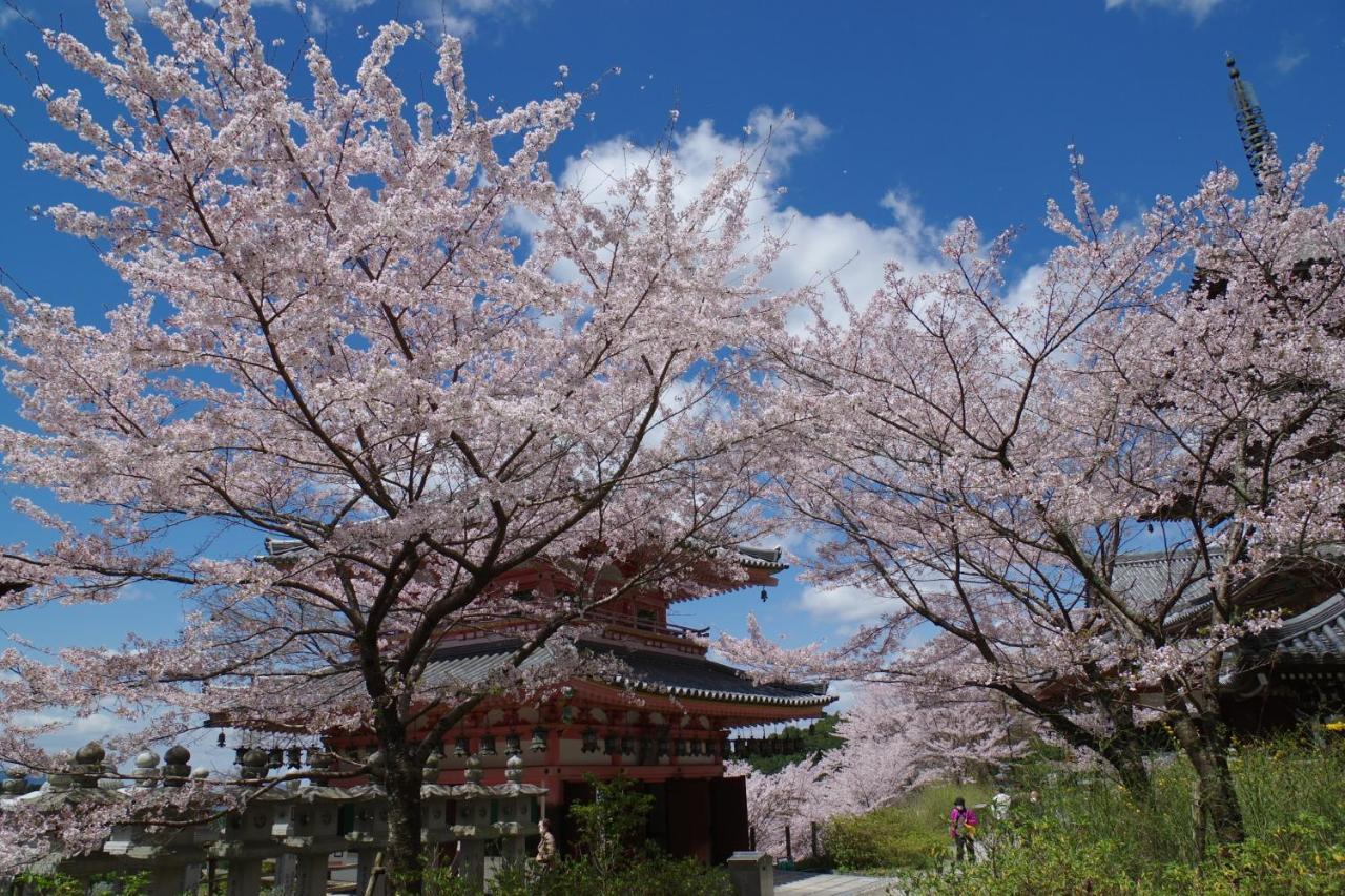 Апартаменты Chikyuutabikazoku　Kintetsu-Nara Ekimae Экстерьер фото